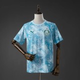 Thai Version Palmeiras 26/27 Pre Match Jersey