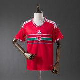 Thai Version Wales 2026 Home Jersey