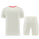 Benfica 26/27 Terrace Icons Kit