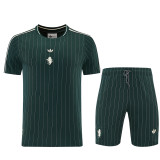 Juventus 26/27 Terrace Icons Kit