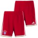 Thai Version Bayern Munich 26/27 Home Shorts