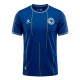 Player Version Bosnia-Herzegovina 2026 Home Authentic Jersey