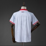 Thai Version Haiti 2026 Away Jersey