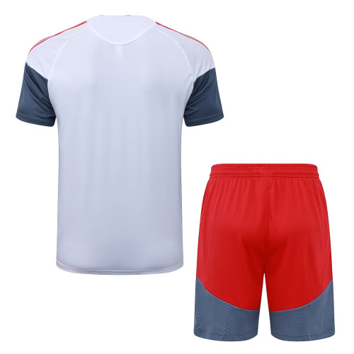 SC Internacional 26/27 Training Shirt and Shorts Set J26022