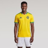 Thai Version Flamengo 26/27 Pre Match Jersey