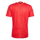 Thai Version Benfica 26/27 Home Jersey