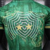 Player Version Al Ahli SFC 26/27 Special Authentic Jersey