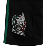 Thai Version Mexico 2026 Third Shorts