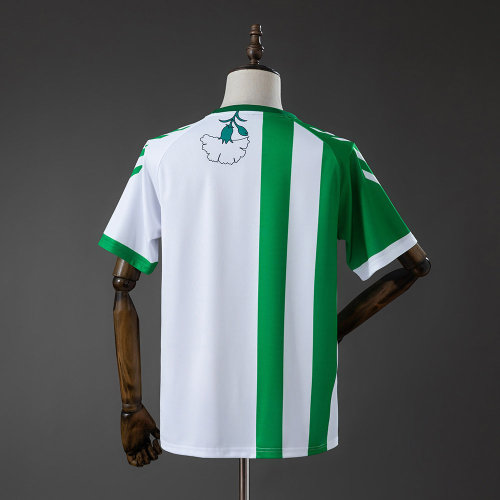 Thai Version Real Betis 25/26 Special Jersey