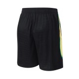 Player Version Brazil 2026 Training Pro Shorts