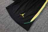 Player Version Brazil 2026 Training Pro Shorts