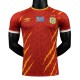 Player Version DR Congo 2026 Third Authentic Jersey