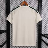 Thai Version Celtic 26/27 Third Jersey