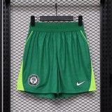 Player Version Nigeria 2026 Home Authentic Shorts
