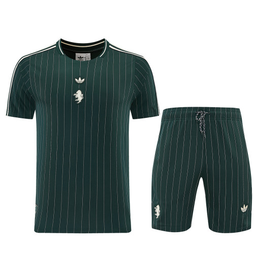 JUV 26/27 Terrace Icons Kit