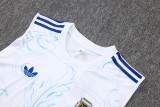 Argentina 26/27 Sleeveless Jersey and Shorts Set D26048 - PM