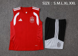 Spain 26/27 Sleeveless Jersey and Shorts Set D26058