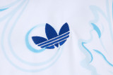 Argentina 26/27 Sleeveless Jersey and Shorts Set D26048 - PM