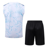 Argentina 26/27 Sleeveless Jersey and Shorts Set D26048 - PM