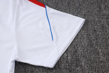 PSG 26/27 Training Shirt and Shorts Set J26034