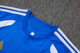 JUV 26/27 Training Shirt and Shorts Set J26041
