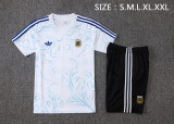 Argentina 26/27 Training Shirt and Shorts Set J26049 - PM