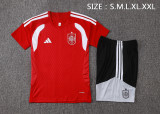 Spain 26/27 Training Shirt and Shorts Set J26055