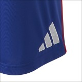 Thai Version OL 26/27 Home Shorts