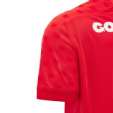 Wales 2026/2027 Mens Home Rugby Jersey