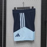 Player Version Argentina 2026 Training Pro Shorts