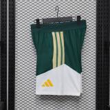 Player Version Italy 2026 Training Pro Shorts