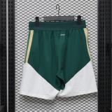 Player Version Italy 2026 Training Pro Shorts