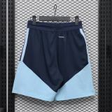 Player Version Argentina 2026 Training Pro Shorts