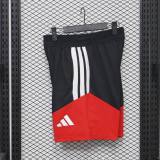 Player Version Germany 2026 Training Pro Shorts