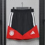 Player Version Germany 2026 Training Pro Shorts