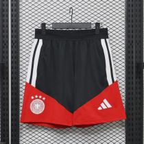 Player Version Germany 2026 Training Pro Shorts