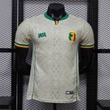 Player Version Mali 2026 Home Authentic Jersey