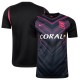 Thai Version BCFC 26/27 Third Jersey