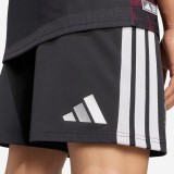 Player Version LIV 26/27 Third Authentic Shorts