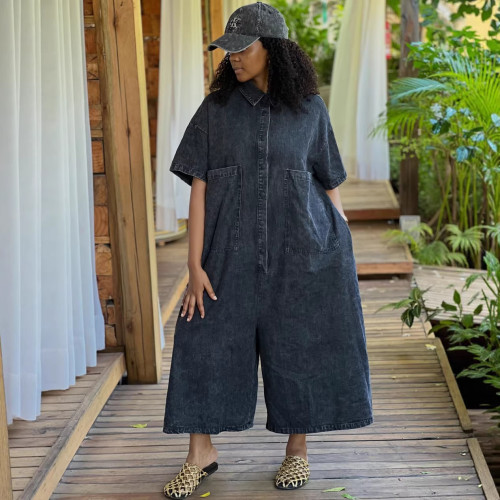Button-down short-sleeved loose-fitting one-piece dress  DLZLT1713