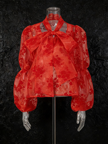 Belted bow blouse for women, new style women's dress, organza fabric with plush effect, long sleeves, top garment  DLZCS51203