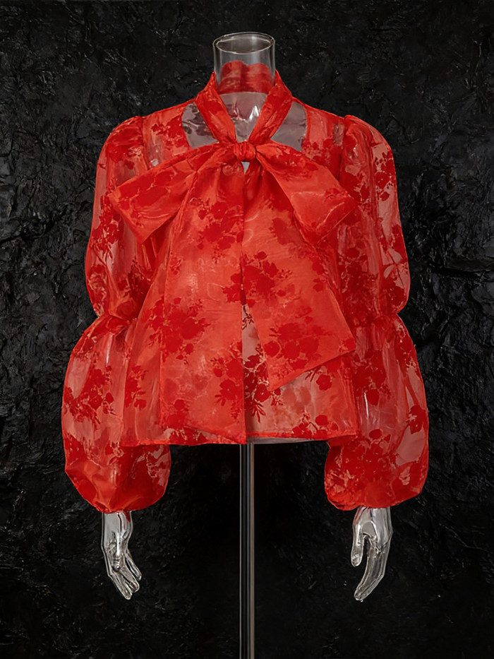 Belted bow blouse for women, new style women's dress, organza fabric with plush effect, long sleeves, top garment  DLZCS51203