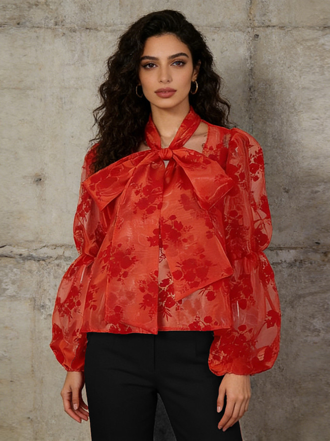 Belted bow blouse for women, new style women's dress, organza fabric with plush effect, long sleeves, top garment  DLZCS51203