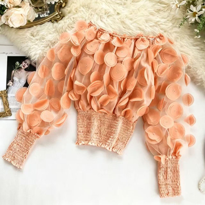 Fashion three-dimensional floral stylish bubble sleeve see-through net fabric chiffon blouse  DLZyzj05