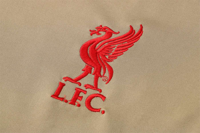 Liverpool Training Jersey 21/22