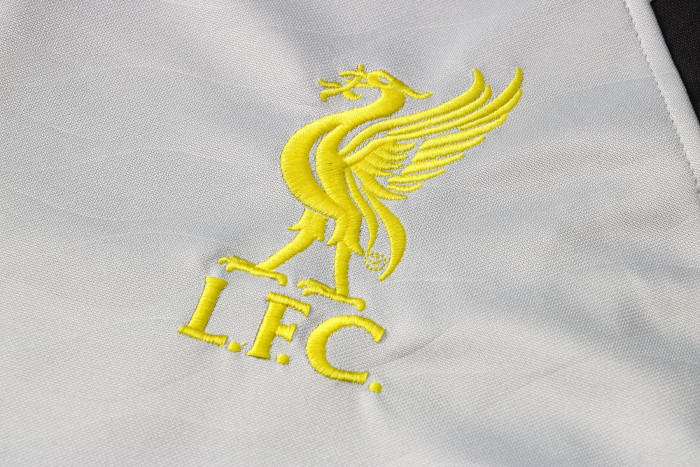 Liverpool Kids Training Suit 21/22 Gray