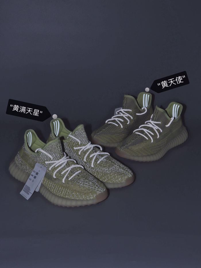 Yeezy 350 V2“Antlia ” Reflective FV3255