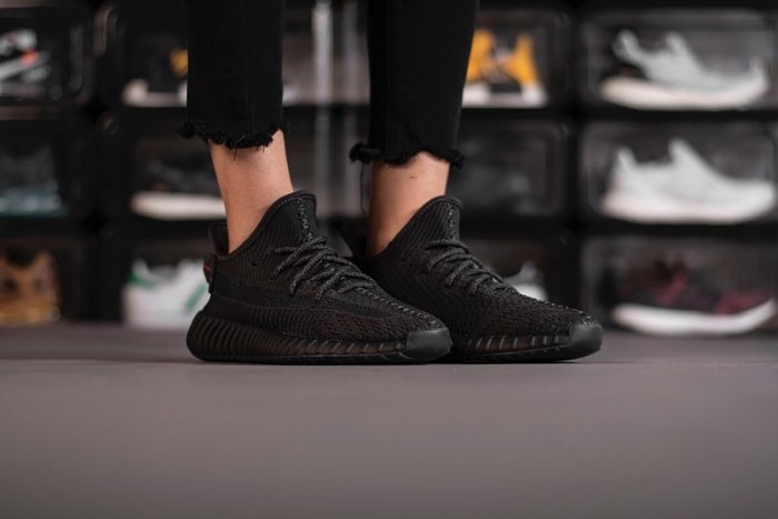 adidas Yeezy 350 V2“Antlia ” FU9006