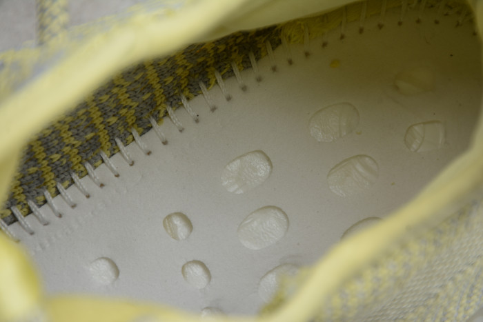 Yeezy 350 V2“Antlia ” FV3250