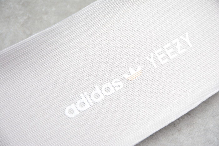 Yeezy Boost 350 V2 FZ5421